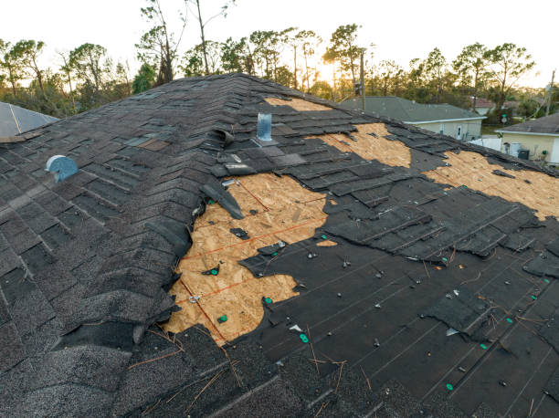 Best Storm Damage Roof Repair  in Black Mountain, NC